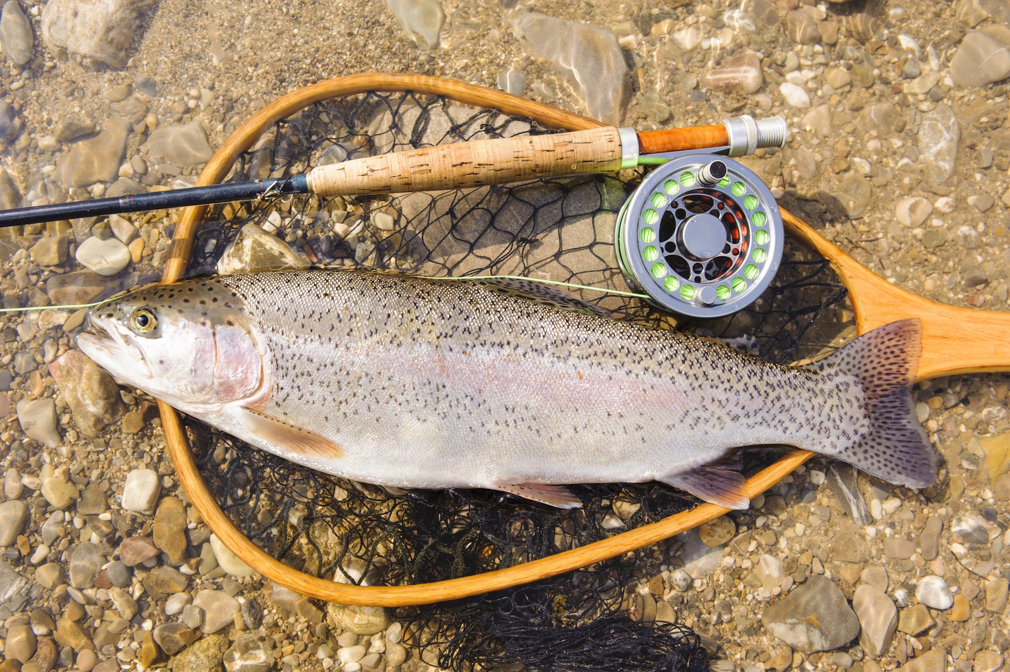 Top 6 Best Fly Fishing Nets Buyers Guide Skate The Fly