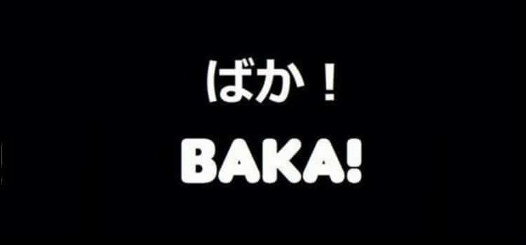 What Does Baka Mean In English TEIMOPC