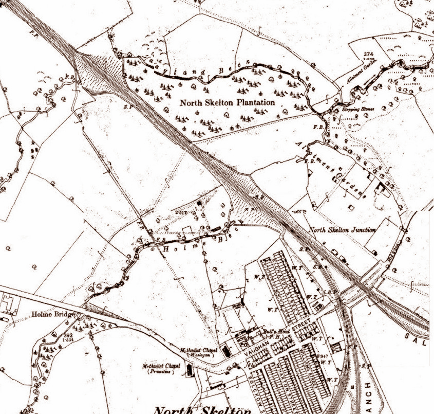 HISTORY OF SKELTON IN CLEVELAND