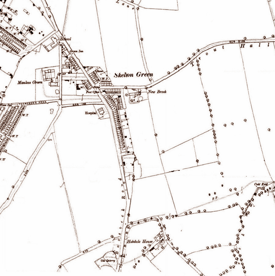 HISTORY OF SKELTON IN CLEVELAND