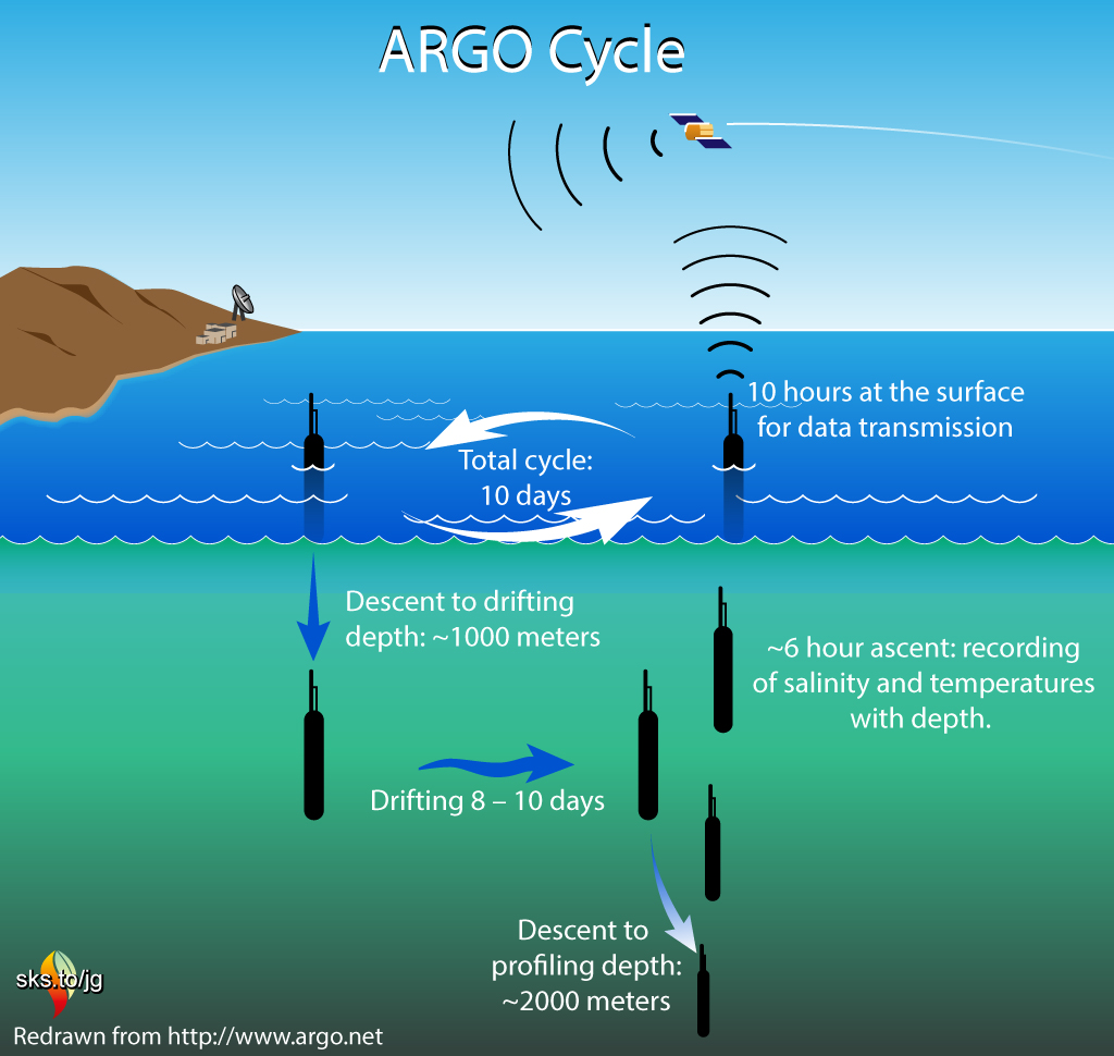 Seal of approval How marine mammals provide important climate data