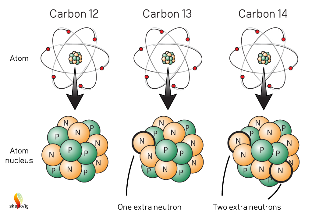 Carbon Isotopes
