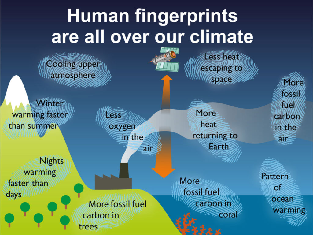 Human Fingerprints