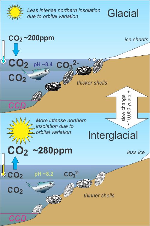 Alarming new study makes today’s climate change more comparable to