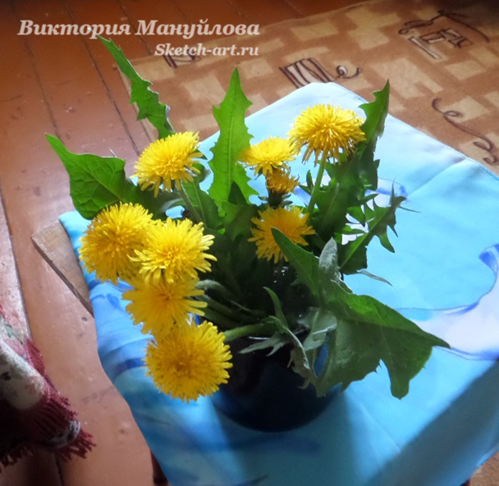 как рисовать одуванчик красками