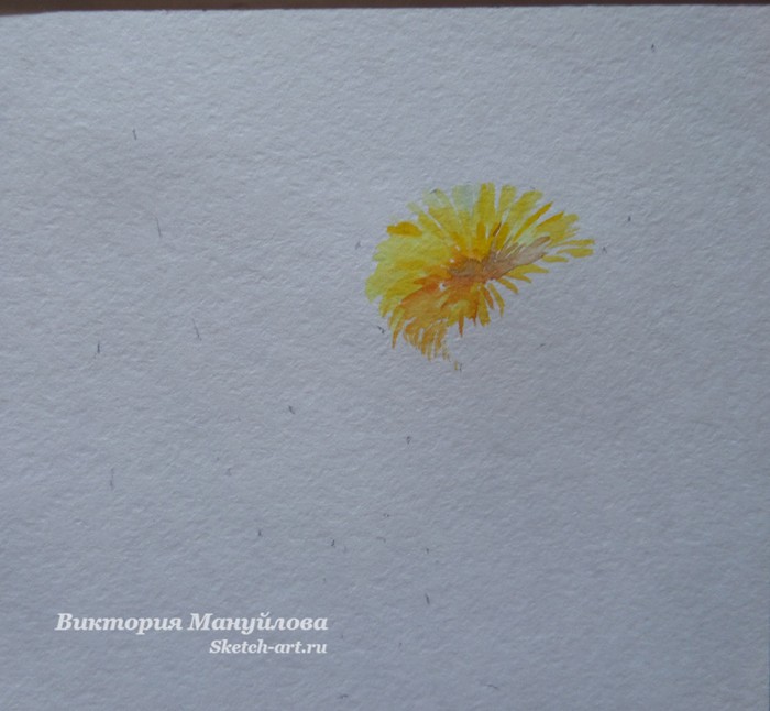 как рисовать одуванчик красками