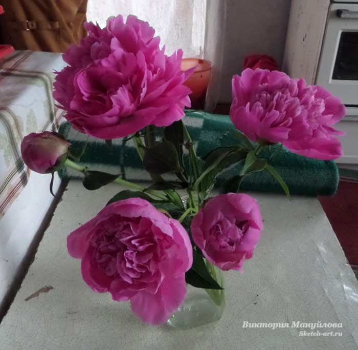 рисуем пионы в вазе