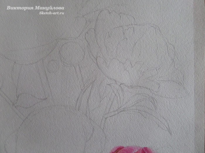 рисуем пионы акварелью поэтапно для начинающих