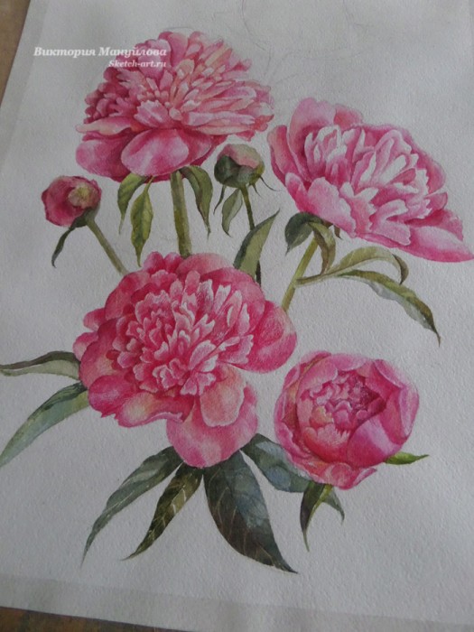 рисуем пионы в вазе