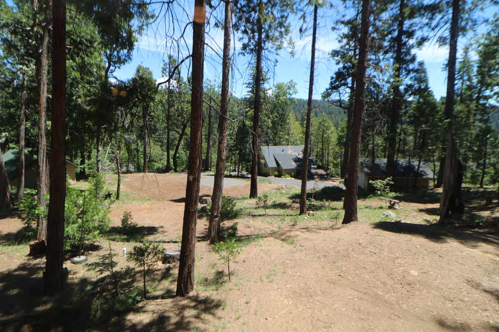 Arnold CA Real Estate backyardTim & Lisa Muetterties CA DRE 00703737