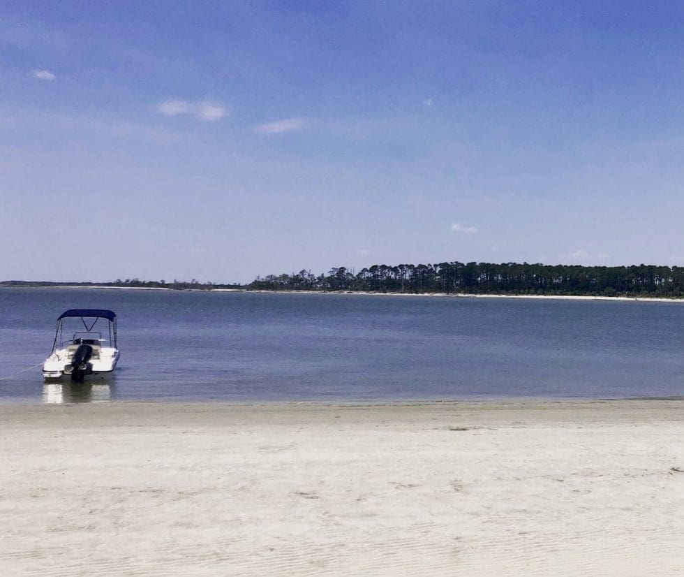 Top 10 Things to Do on Skidaway Island Skidaway Island GA