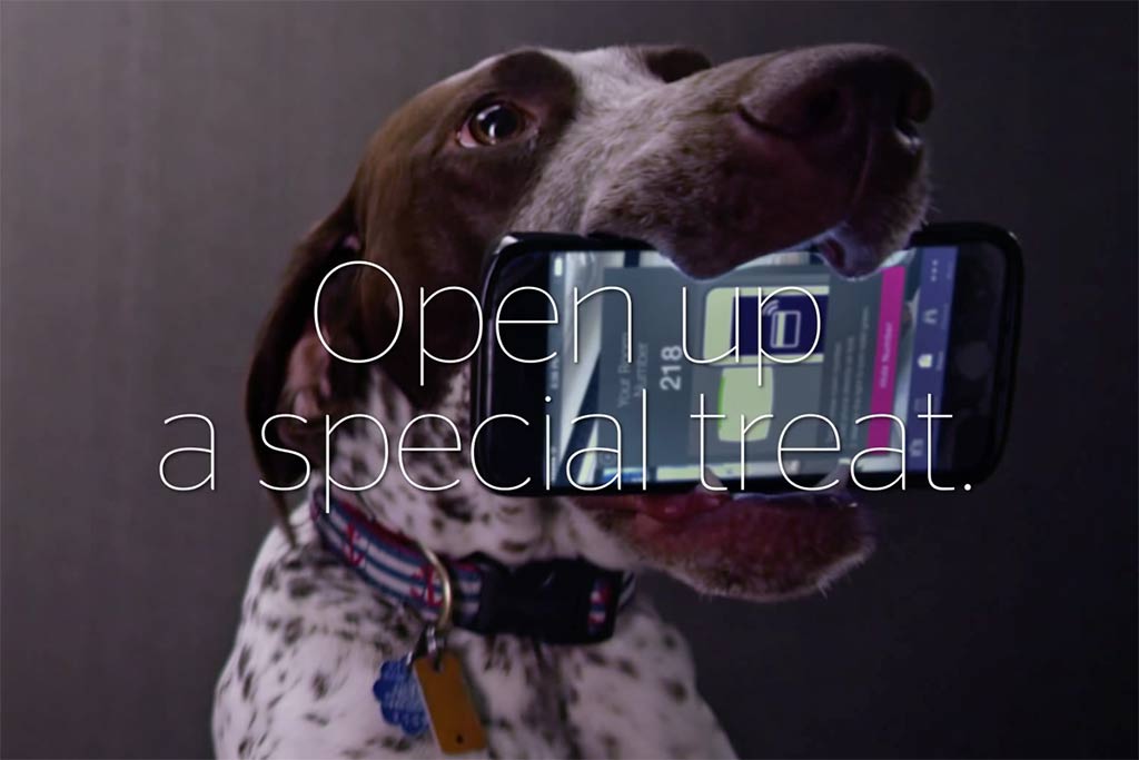 Hotel Loyalty and the Next Generation of Guest Personalization