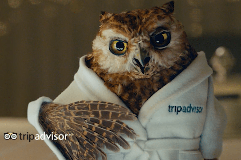TripAdvisor Returns to TV Advertising With BathrobeClad Owl as