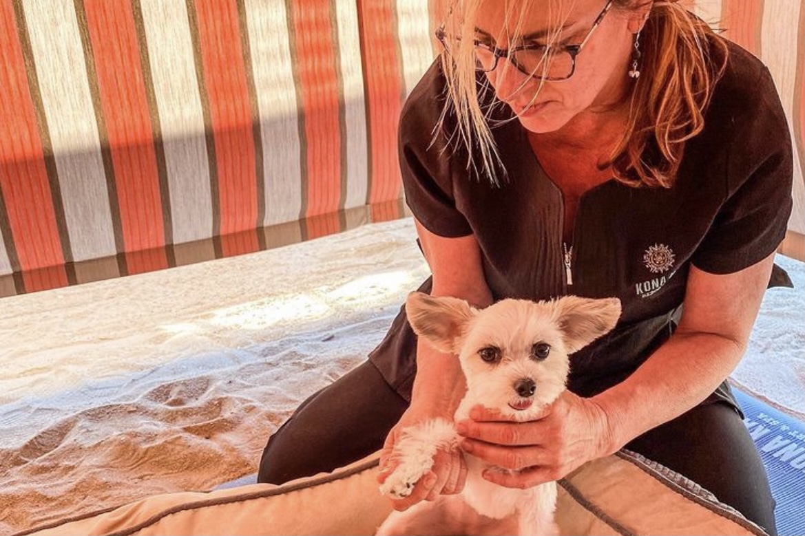 The Hotel Dog Masseuse Who Relaxes the Animals — and the Guests