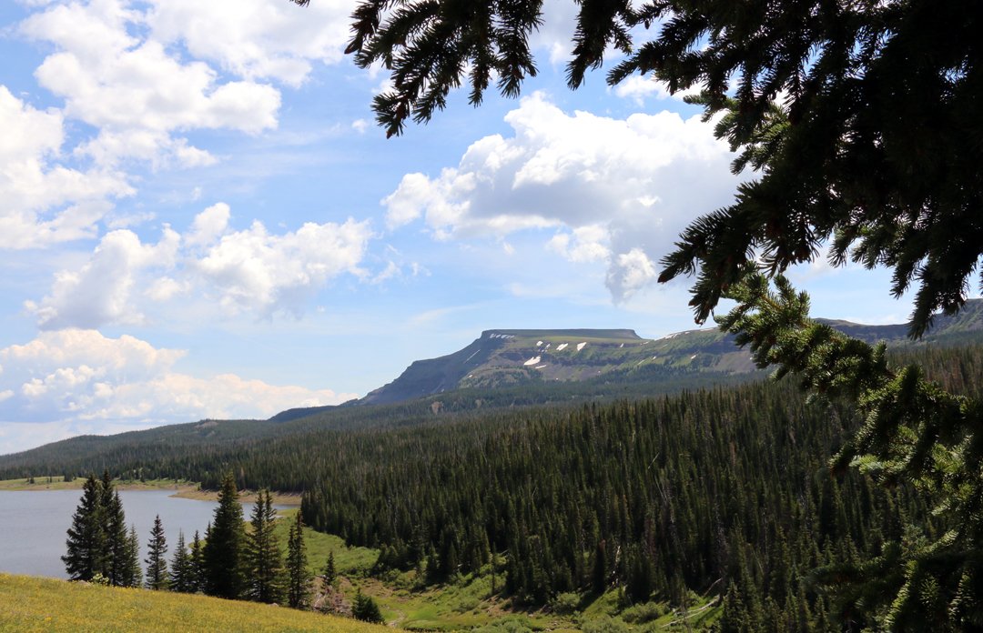 Routt County and Routt National Forest Trail and Access Update