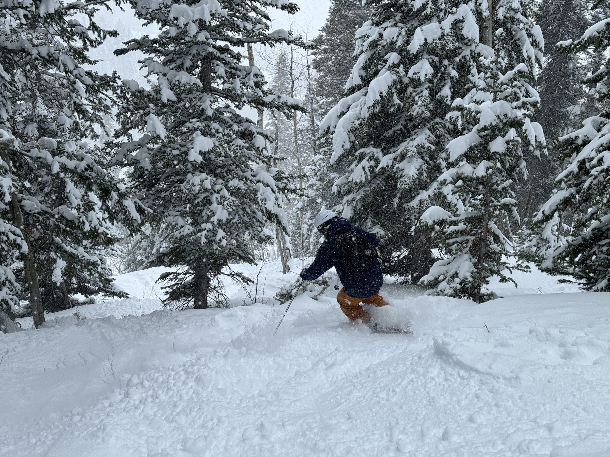 Liveupdate skiën zonder snowboarders in Deer Valley