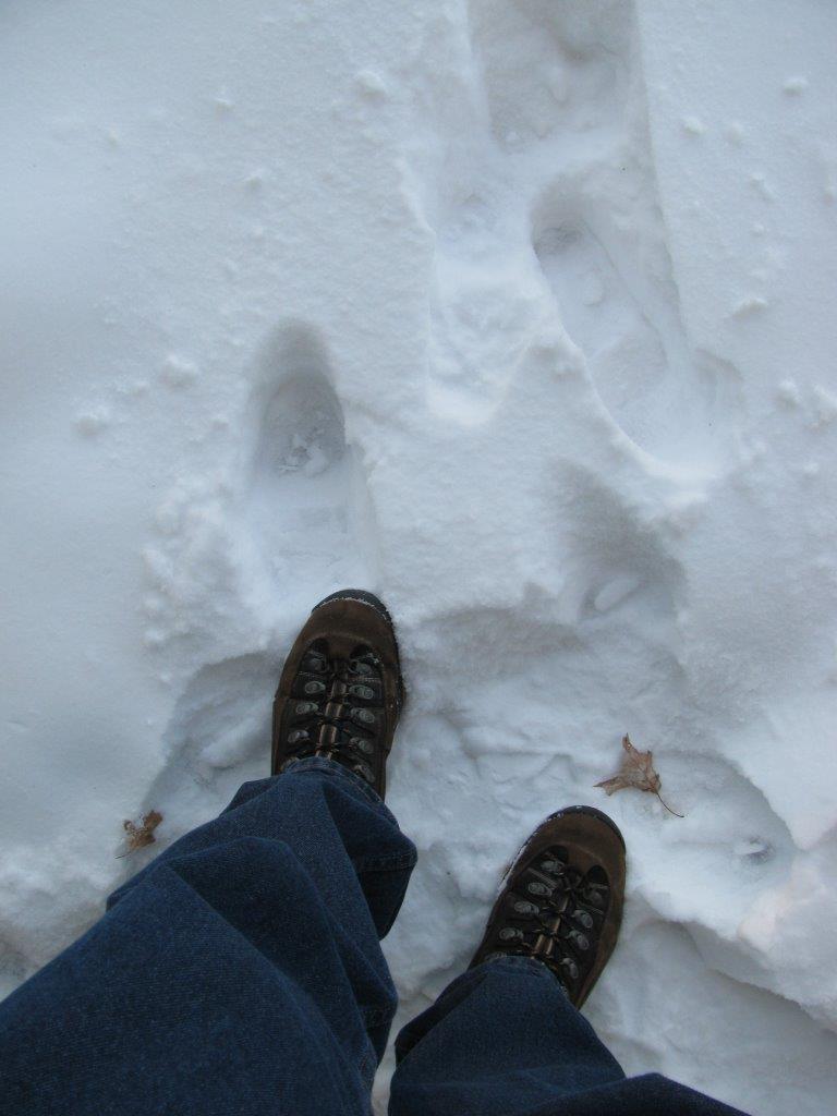 Ski Boot Adjustment Ski Instructor STL