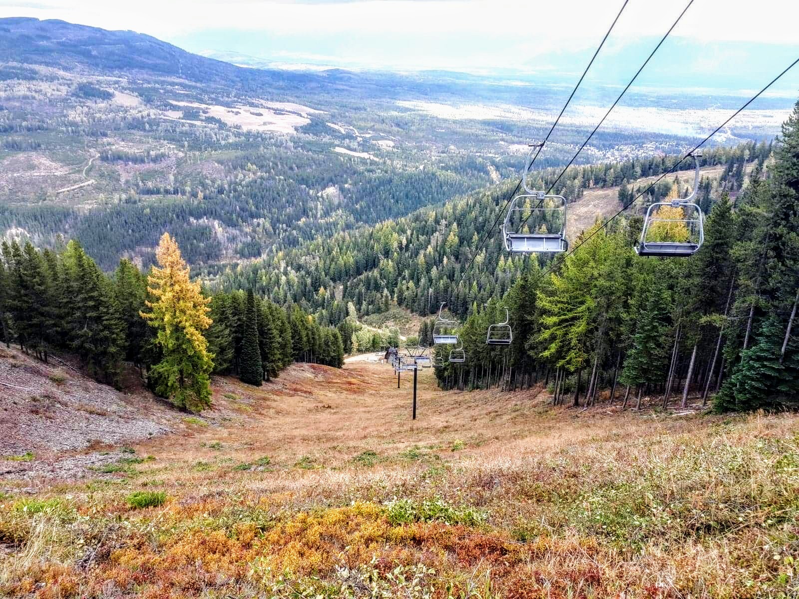 Kimberley Alpine Resort’s Summer Glading & Mowing Program Kimberley