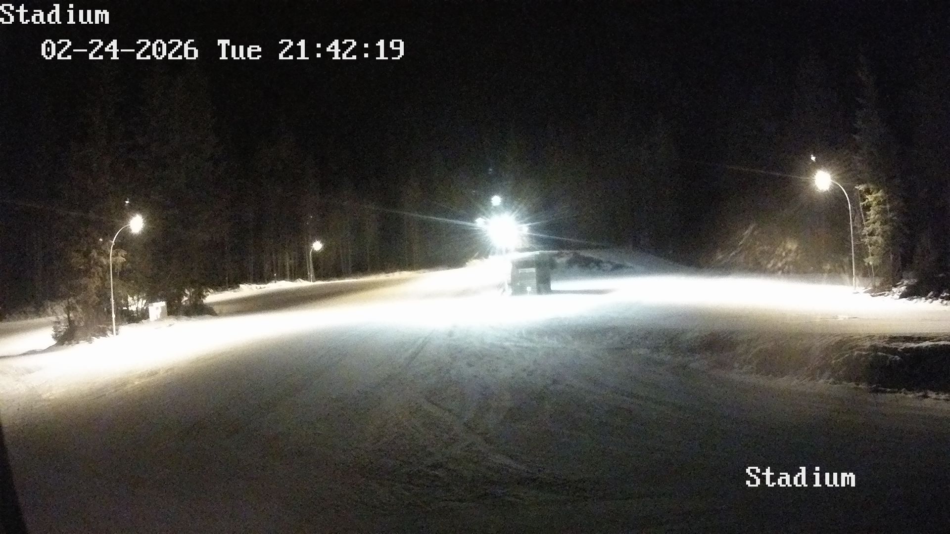 2024 10 31 Membership!, Grocery Cards Larch Hills Nordic Society