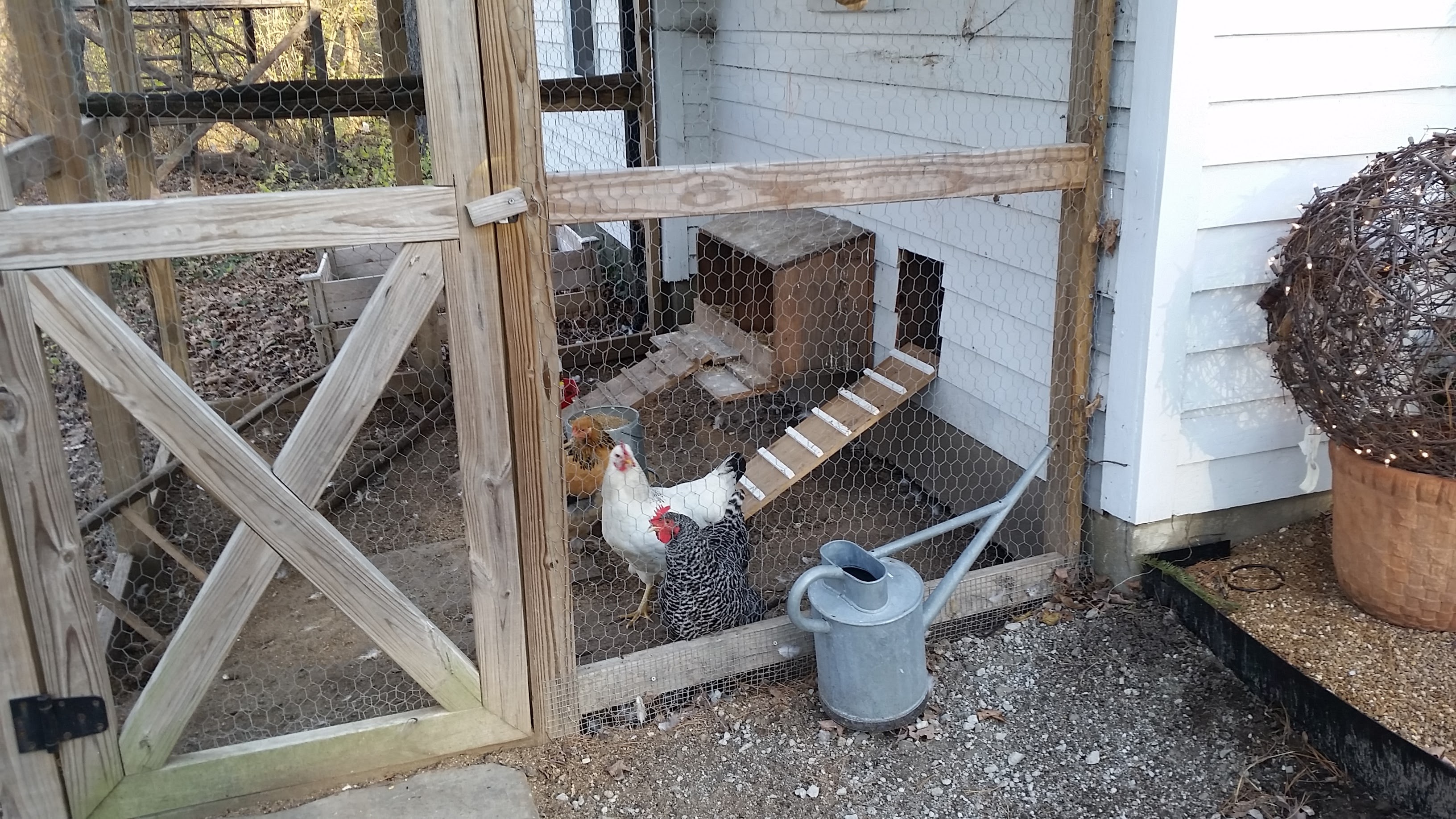 Chicken Coop 2 Skillcraft Carpentry St Louis Carpenter