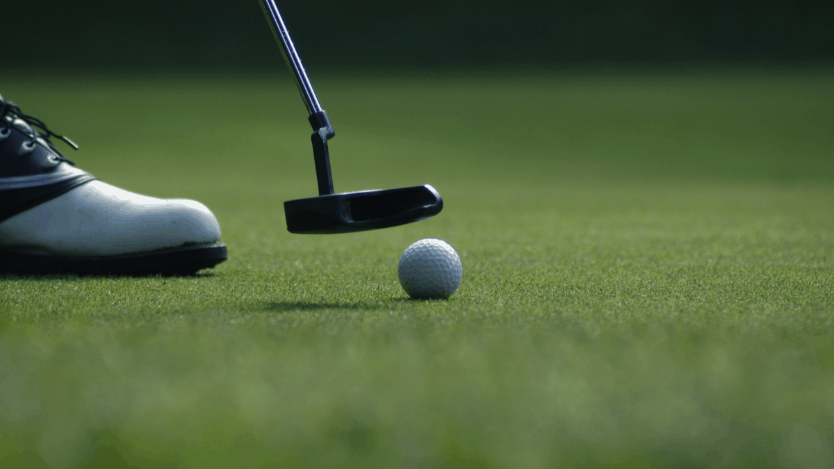 Most Putters In 2024 Top Picks and Buyer’s Guide
