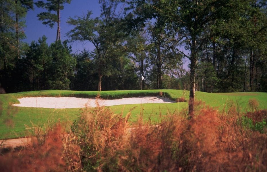 Carter Plantation Skilled Golf