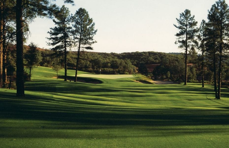 The Golf Club at Chaparral Pines Skilled Golf