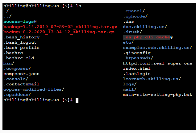 Using the terminal - Skilling