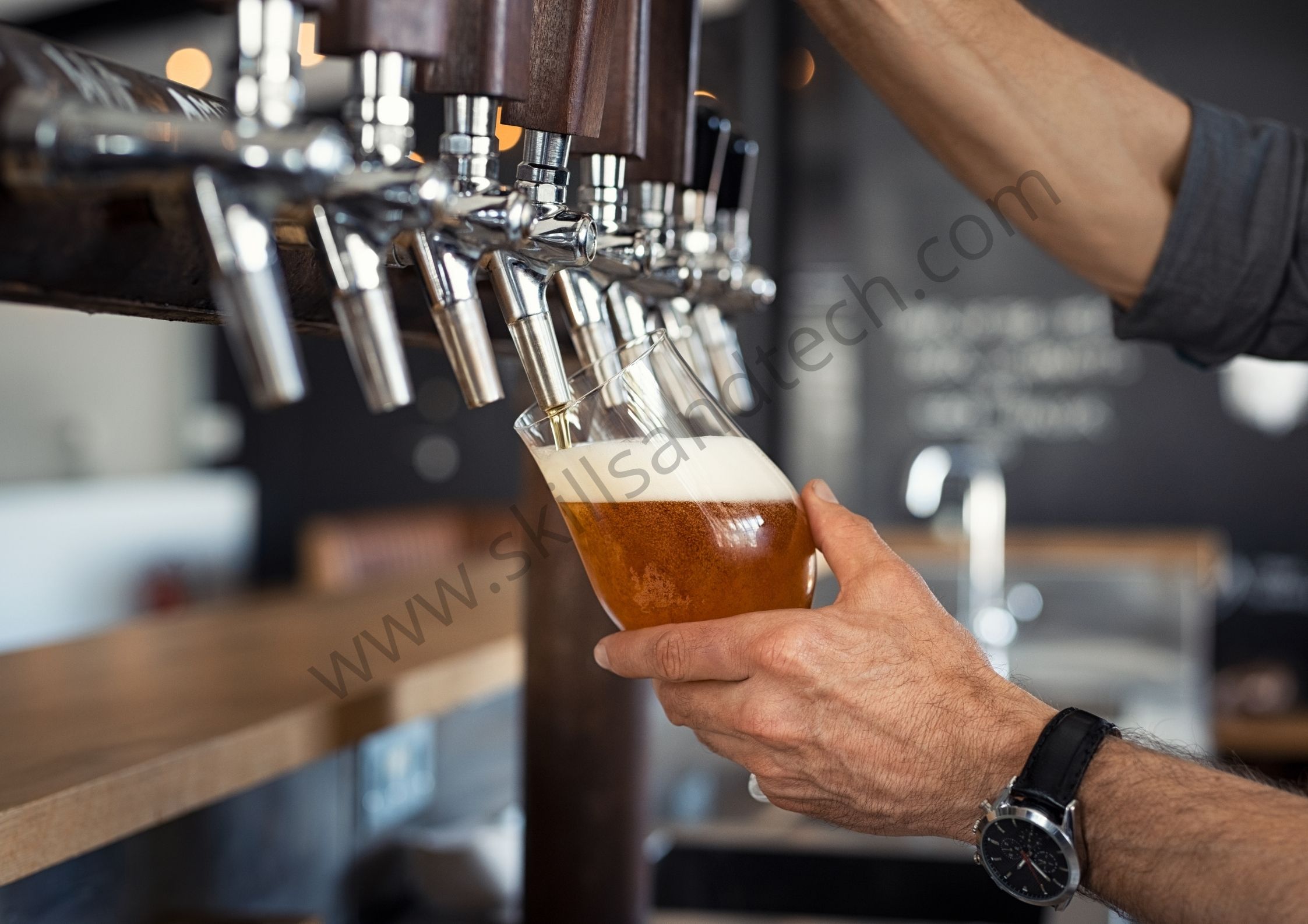 Brewery Processing Business How To Start, Cost, Raw Material, Profit