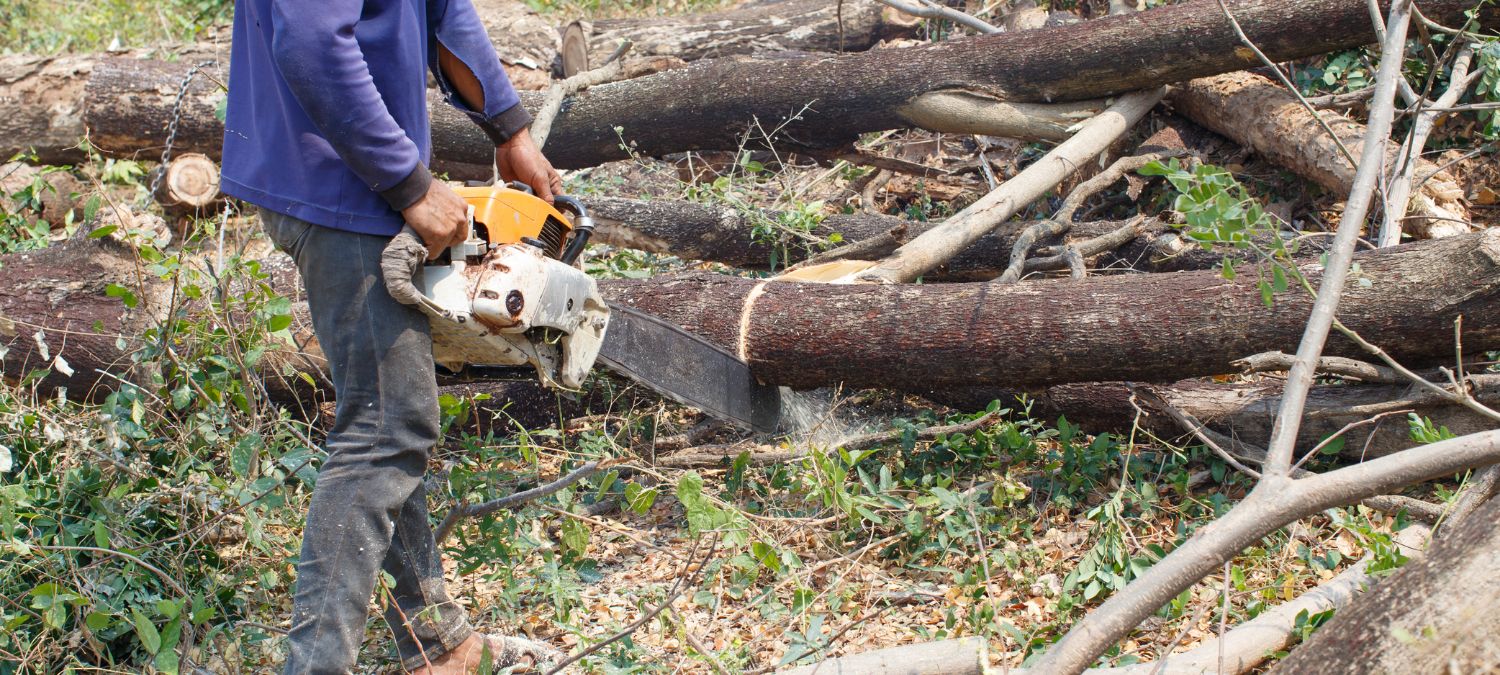 How To a Logger Complete Guide SkillsAndTech SkillsAndTech