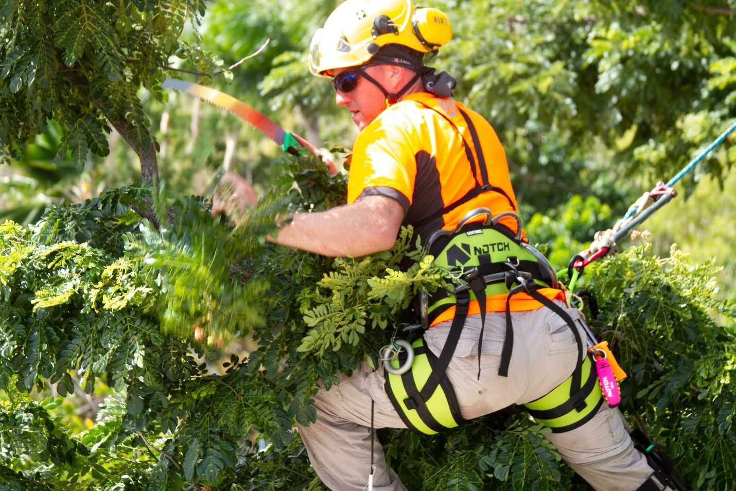 Three Reasons Why Hiring a Professional Tree Care Service is Better