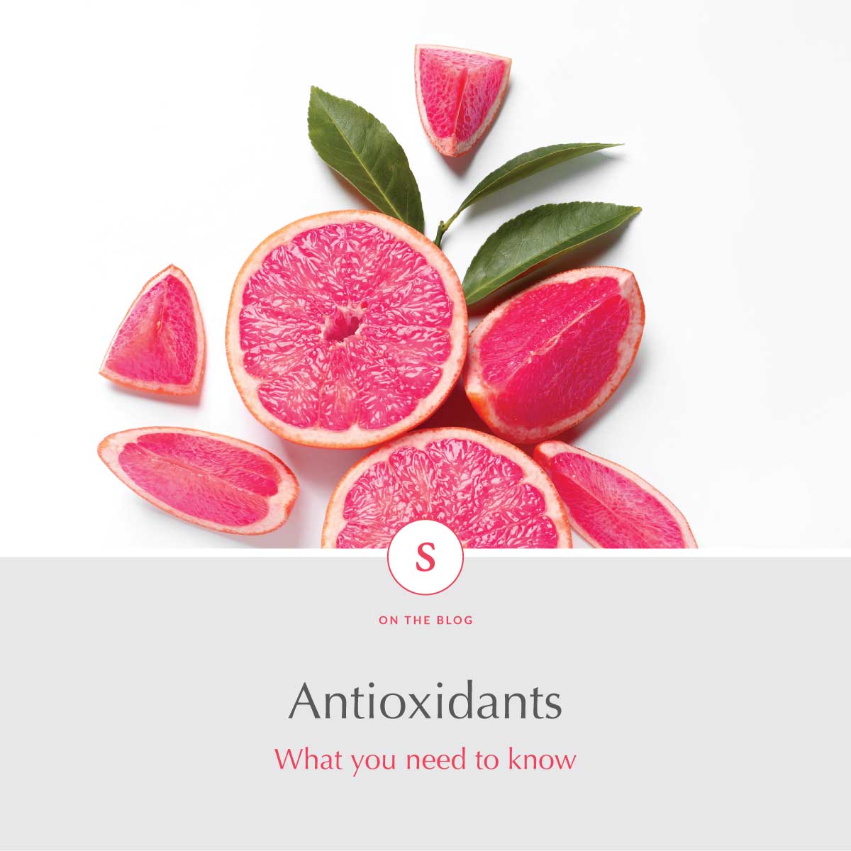 Antioxidants What you Need to Know Skinastute