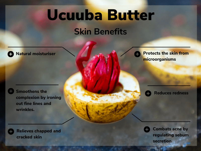 You Don’t Know What Is Ucuuba Butter? It’s Time To Find Out. SkinCrest