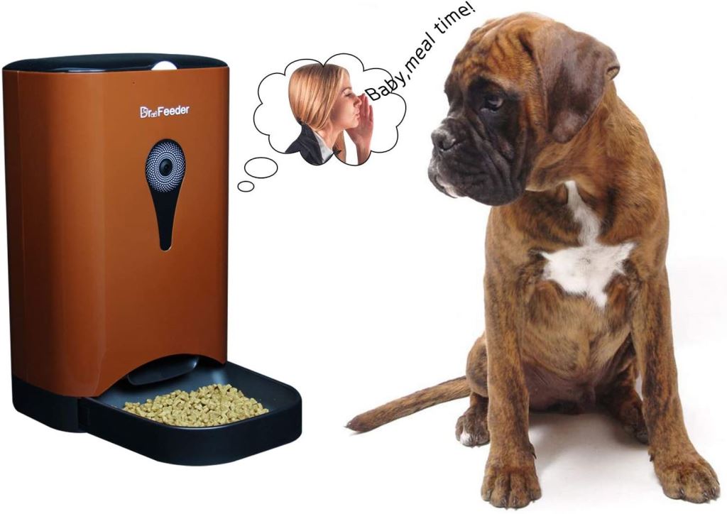 5 Best Smart Automatic Pet Feeders In 2022 Top Rated Pet Feeders With