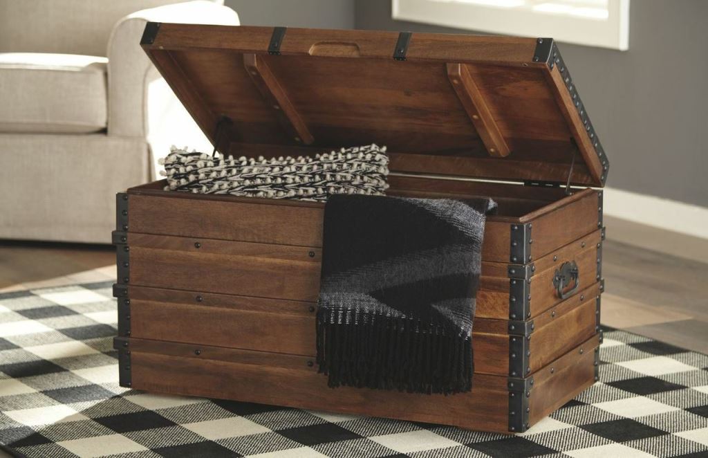 The 5 Best Storage Trunks in 2023 SKINGROOM