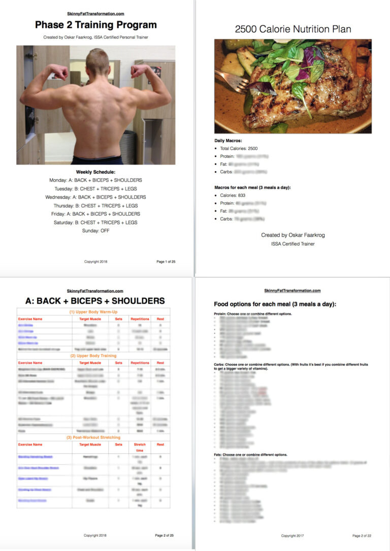 Training and Diet SKINNYFAT TRANSFORMATION