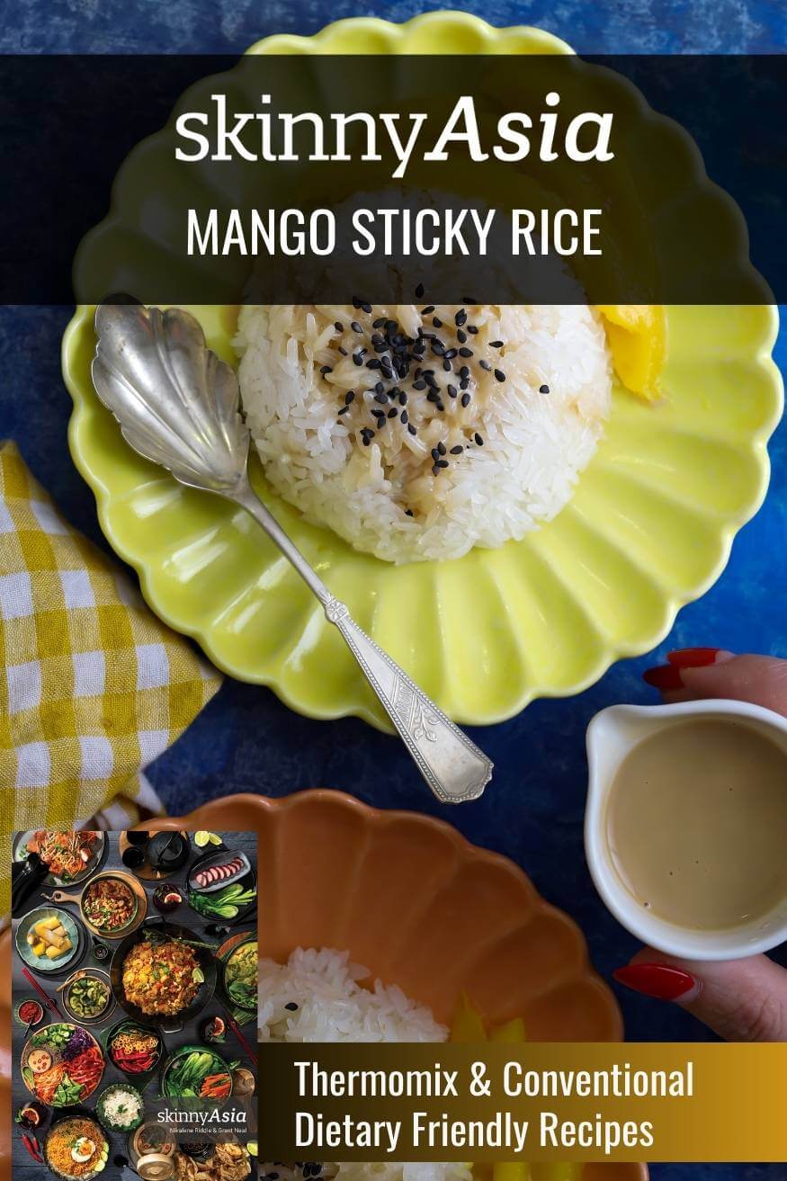 SKINNYASIA Mango Sticky Rice skinnymixers