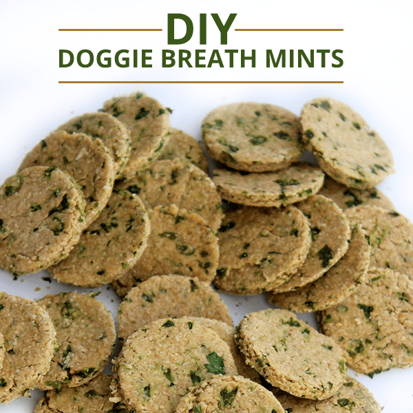 DIY Doggie Breath Mints Skinny Ms.