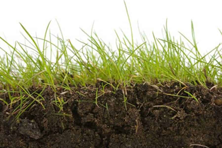 ACT Skip Hire Canberra Guaranteed Best Price Skip Hire in Canberra