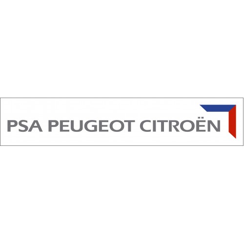 I/O TERMINAL MULTITOOL FOR PSA BSI