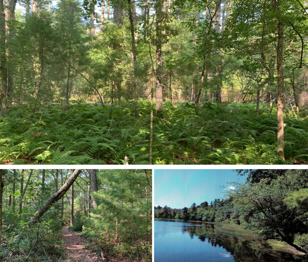 SKLT Exceeds 3,000 Acres of Land with Protection of 17.85 Acres on