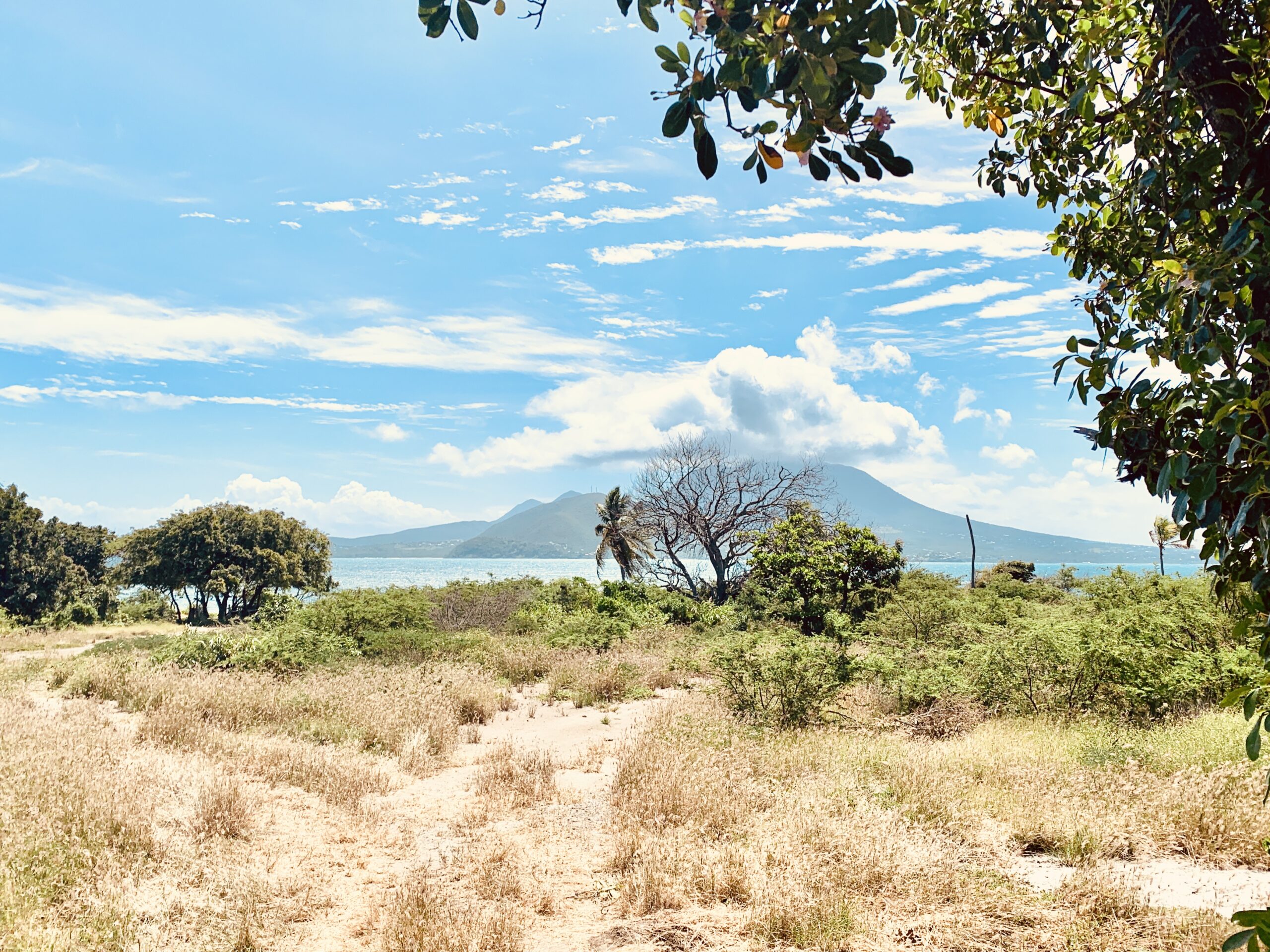 Salt Pond Estate Seaside Lot St. Kitts & Nevis Island Homes
