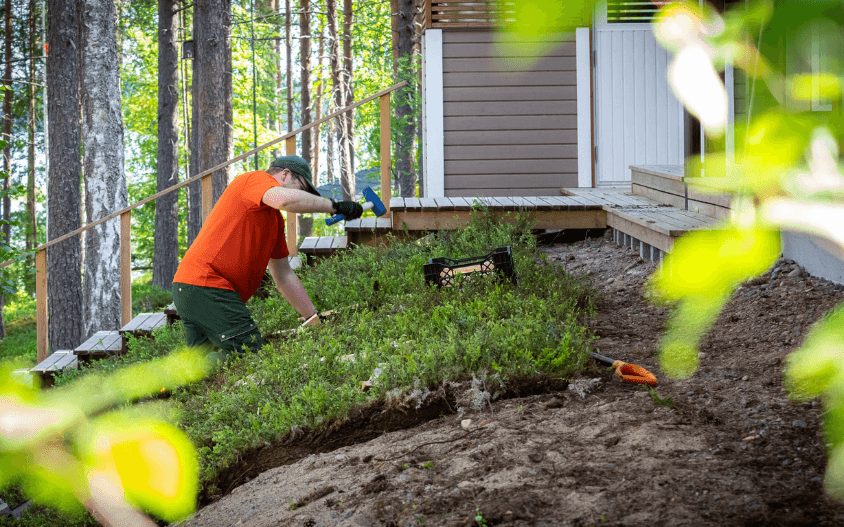 Vart kan man anlägga skogsmatta? Skogsmatta