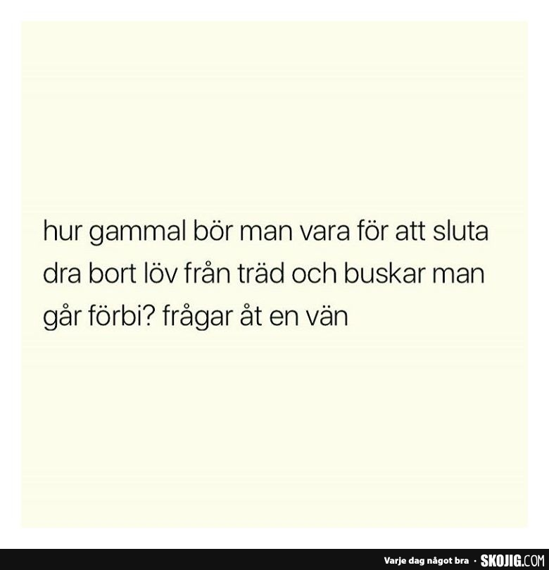 hur gammal bör man Skämt och de bästa roliga bilderna!