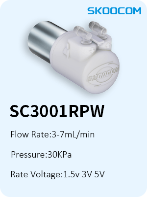 SC3001RPW - My WordPress