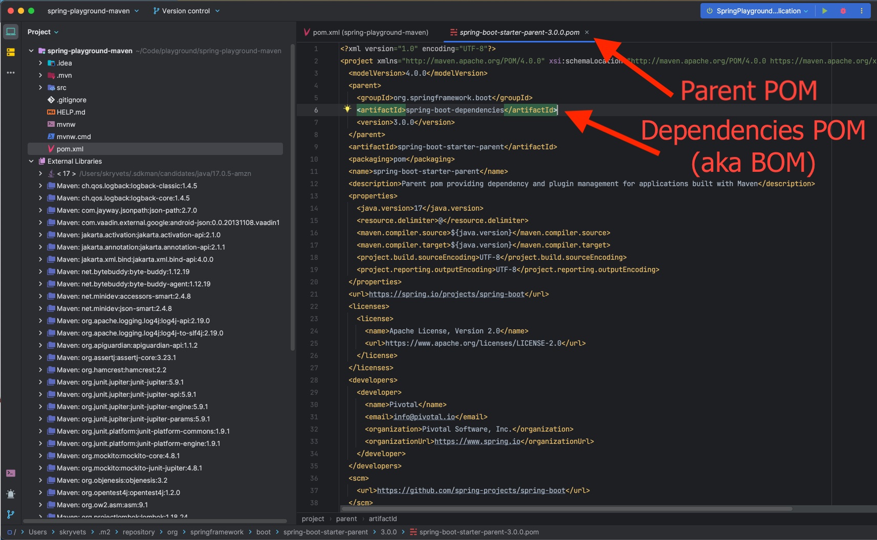 Which Spring Version does my Spring Boot project use? Starter parent in