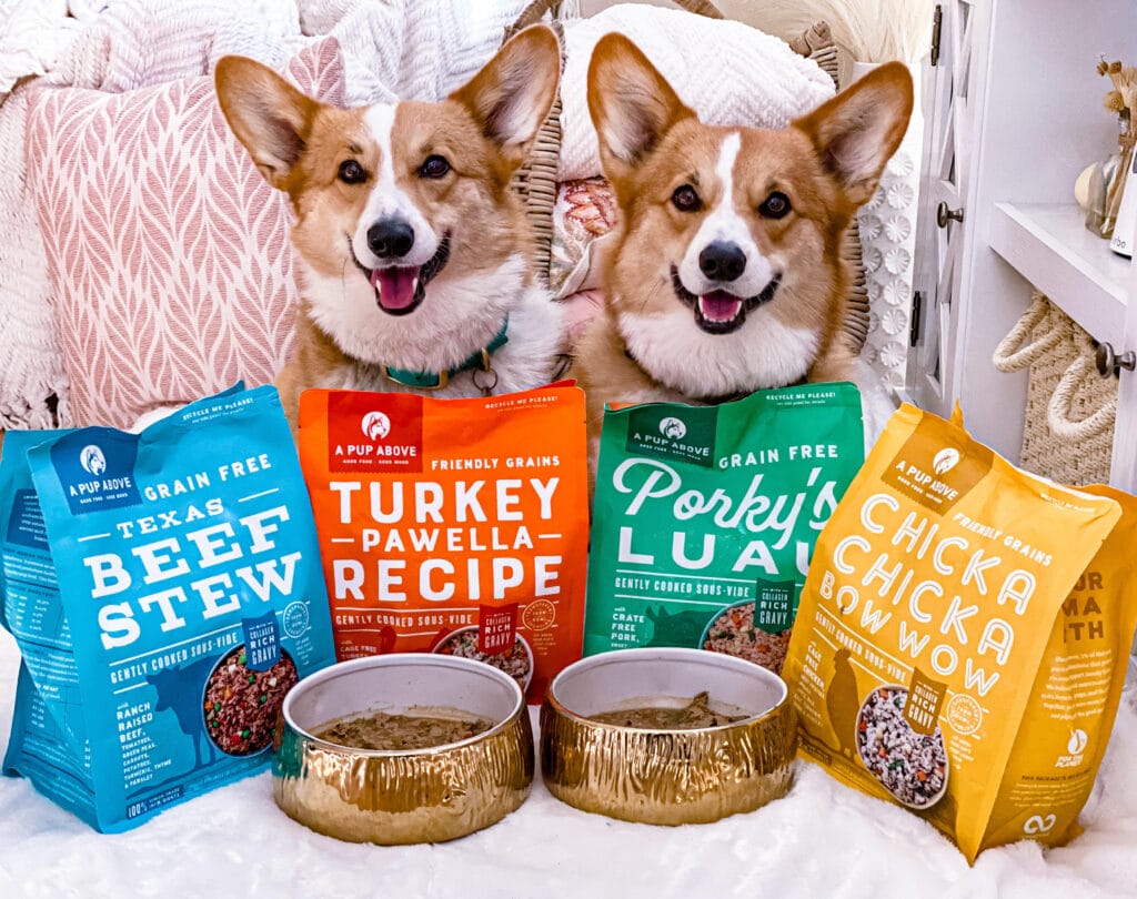 Innovation and Surging Dog Food Industry Drive a Pup Above's Growth SKU