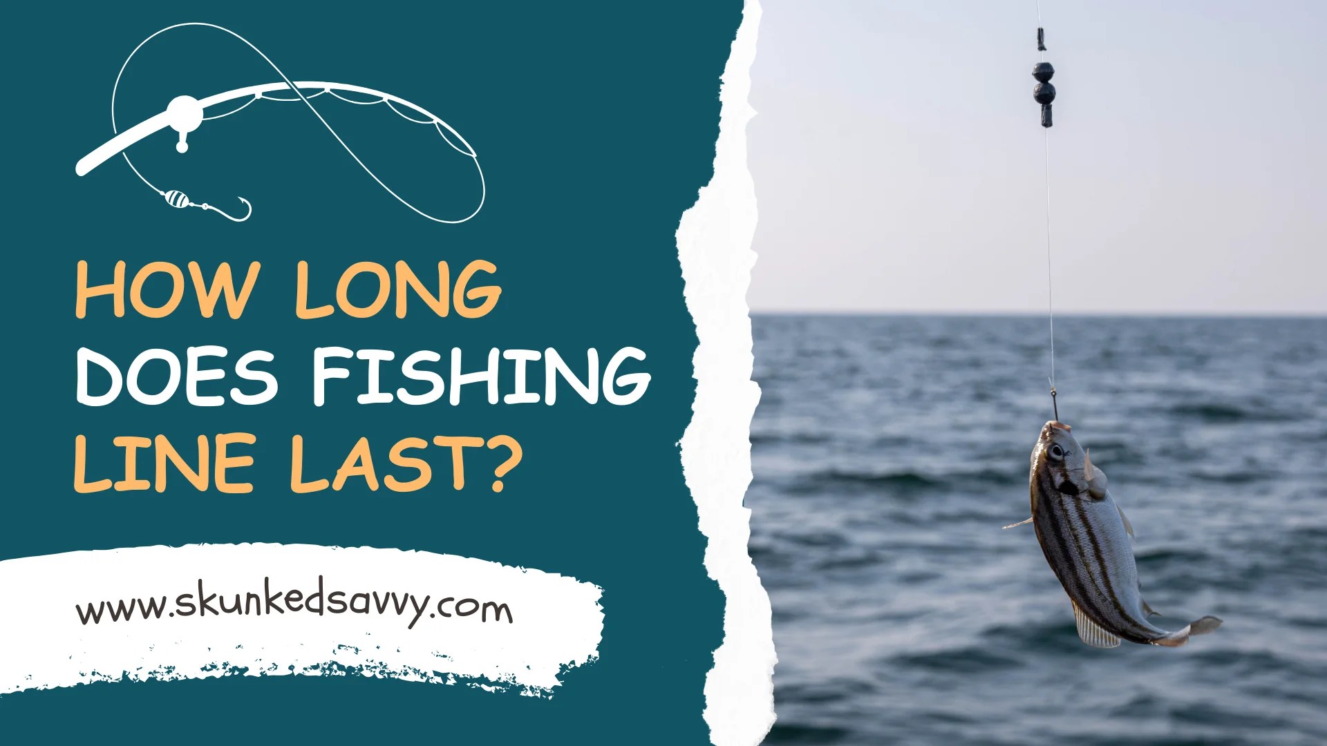 How Long Does Fishing Line Last? Which Type Lasts Longer? SkunkedSavvy
