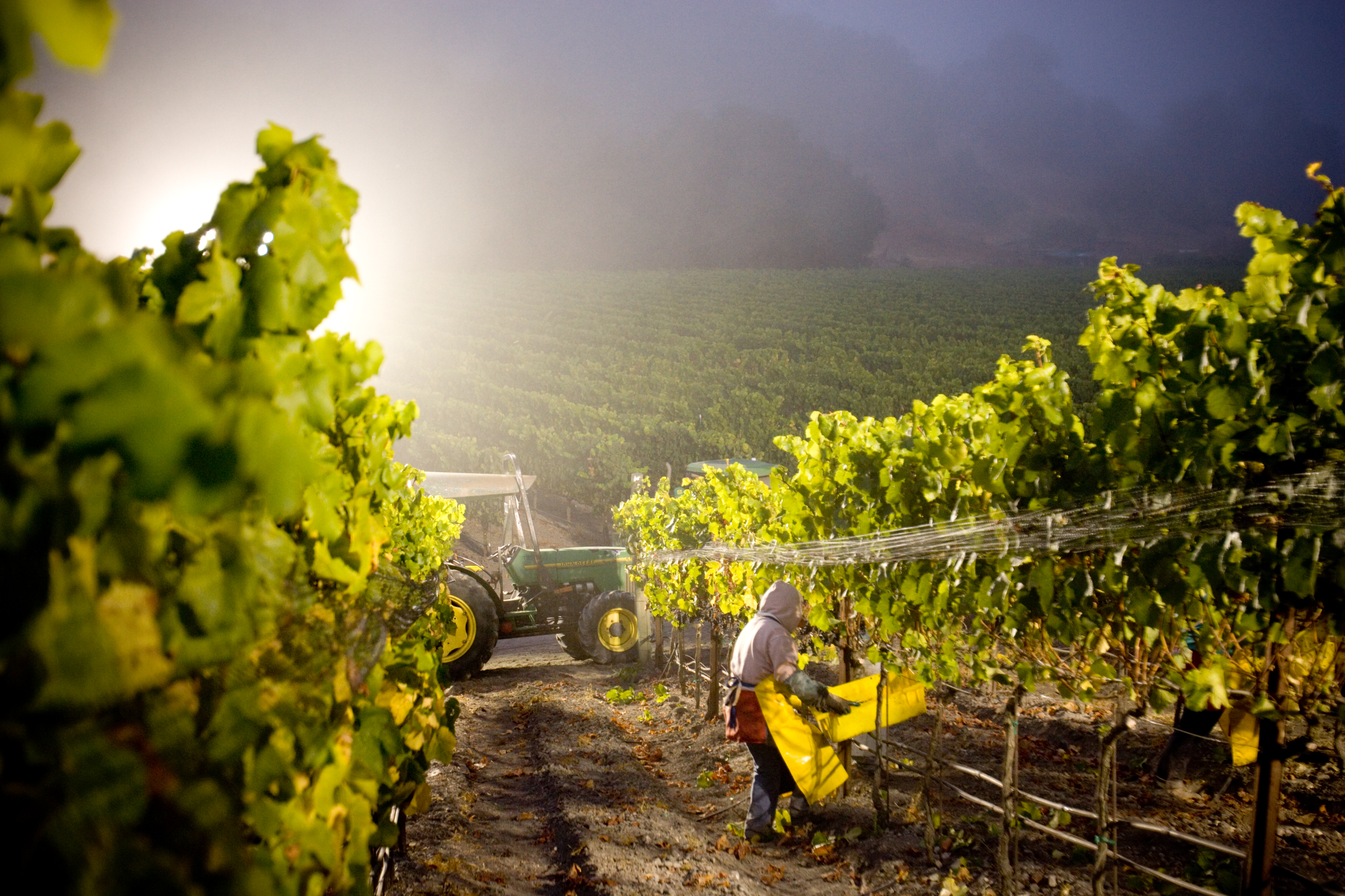 Talley Vineyards A Rich History in the Arroyo Grande Valley Skurnik