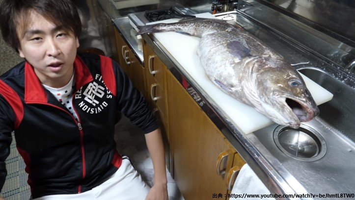 きまぐれクックかねこのプロフィールや年収！住まいはどこ？現在の車も公開 やじうまニュース速報